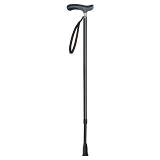 SINANO 樂逍遙吸震伸縮手杖, 1個, 黑色