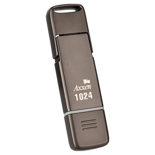 Axxen OTG 超高速雙介面 Type-C 外接 PSSD PS31, 鉻色, 1TB