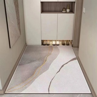 AFAMIC 艾法 高質感玄關防刮落塵 刮泥吸水腳踏地毯/比利時絲圈絨印花地墊, 1個, 金線水墨