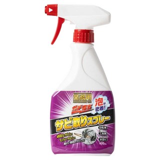 AIMEDIA 艾美迪雅 專業用除鏽泡沫噴霧清潔劑, 400ml, 1瓶