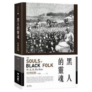 黑人的靈魂, 杜博依斯, LINKING 聯經