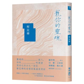 寵你的靈魂, 解昆樺, LINKING 聯經