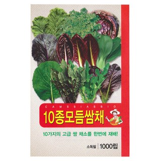 10종 모듬 쌈채소 씨앗, 1개