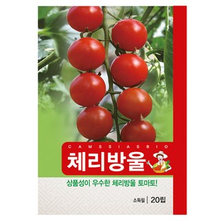 체리 방울 토마토 씨앗, 1개