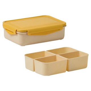 닥터하우스 오래 신선 항균 밀프랩 도시락통 나눔 밀폐용기, 1개, 1.5L