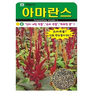 아람종묘 아마란스 꽃 씨앗 4000립, 1개