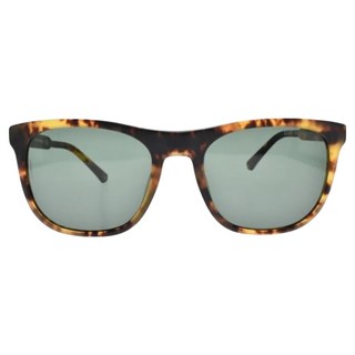 ARMANI EMPORIO 時尚大方框太陽眼鏡 EA4099F_567771