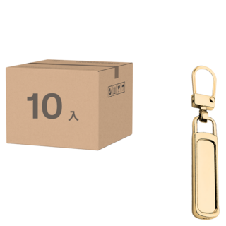 FANCY LIFE 萬用拉鍊頭 升級款, 1套, 金色