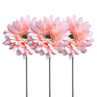 Floral M 夏日繽紛小太陽非洲菊仿真花花材, 甜蜜粉, 3個