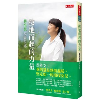 拔地而起的力量, 天下文化, 徐遼明