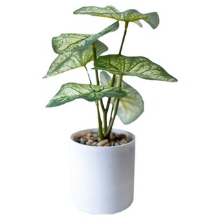室內桌上型白天使海芋仿真綠植, 1個, 綠色