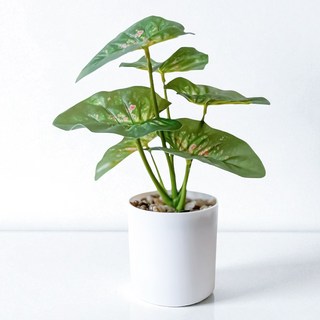 Floral M 室內桌上型綠天鵝絨海芋仿真綠植, 1個, 綠色