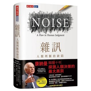 雜訊, 天下文化