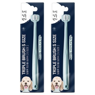 딩동펫 반려동물 트리플 칫솔 소형, 2개, 혼합색상