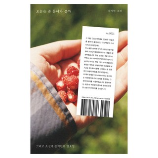 今天要不要繞點遠路看看, 茶山書房, 宋智賢