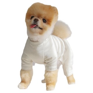 CHOCOPET house 狗狗蜜桃絨發熱衣, 象牙白, 1個