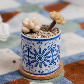 미소로운 다육이 화분, style13, 1개