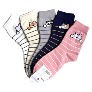 橫條紋動物偷看中筒襪 5雙