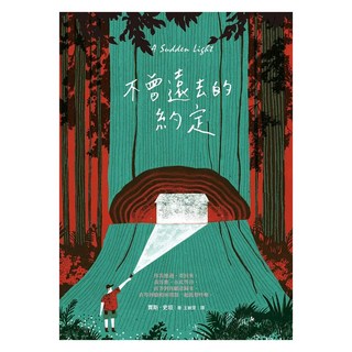 不曾遠去的約定, 圓神出版社, 賈斯.史坦