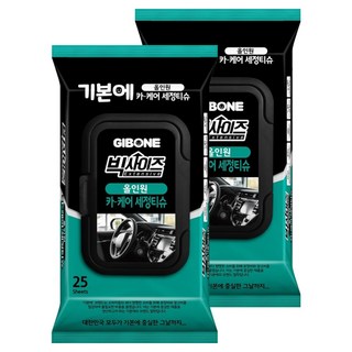 기본에 빅사이즈 올인원 카 케어 세정티슈, 25개, 2개