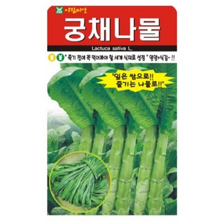 아람종묘 궁채나물 씨앗, 1개