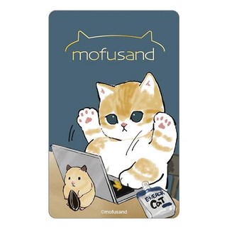 貓福珊迪悠遊卡, 打電腦, 1個