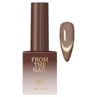 FROM THE NAIL Tidy 磁吸式凝膠美甲, FG304, 1個, 10g