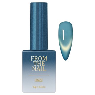 FROM THE NAIL TIDY 磁吸凝膠美甲, FG301, 1個, 10g