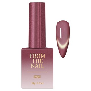 FROM THE NAIL Tidy 磁吸凝膠指甲油, FG305, 1個, 10g