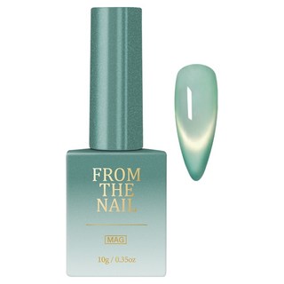 FROM THE NAIL Tidy 磁吸凝膠指甲油, FG302, 1個, 10g