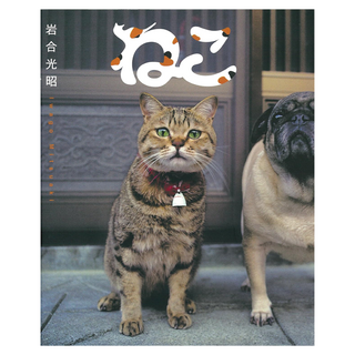 貓, 大石國際文化, 岩合光昭