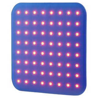 시리어스 cirius 근적외선 좌욕기 LED 패드 찜질 휴대용 가정용 온열 방석 PH-LS03, 1개