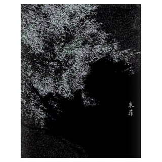 一定曾經有狂喜 才讓追逐深深寫進基因裡, 田園城市, 朱菲