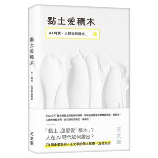 黏土愛積木, 蛋白質女孩, 王文華