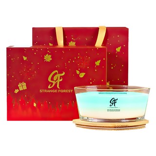 上手家居 白噪音香氛蠟燭禮盒/香薰蠟燭/芳香蠟燭/精油蠟燭/蠟燭香氛, 青色, 麝香