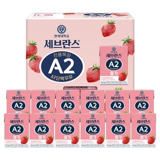 세브란스에이투 전용목장 단백우유 딸기, 125ml, 12개