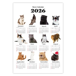 2026년 대형 감성 한장 벽 달력 포스터 캘린더 A3, 고양이, 1개