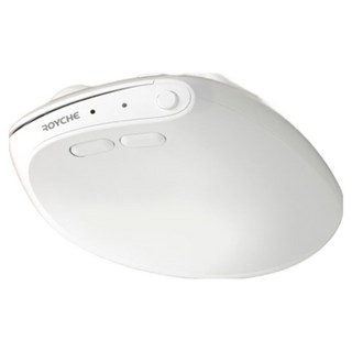 로이체 휴대용 인체공학 저소음 블루투스 미니 버티컬 무선 마우스 RX-650V, 화이트, RX-650V WH