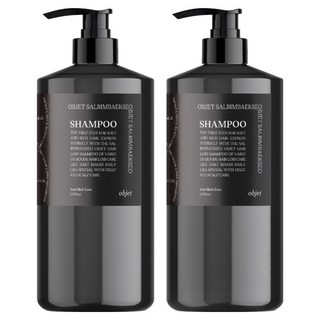 살림백서 오브제 지성 두피케어 약산성 탈모증상완화 샴푸, 1L, 2개