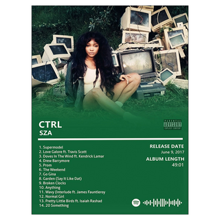 디나로 음악앨범 배경 벽 포스터 타입 8