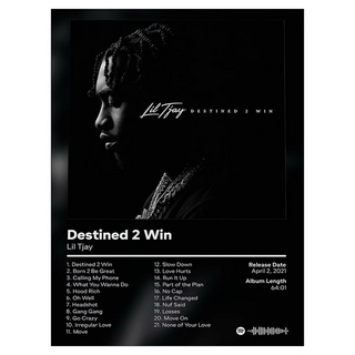 디나로 음악앨범 배경 벽 포스터 타입 15