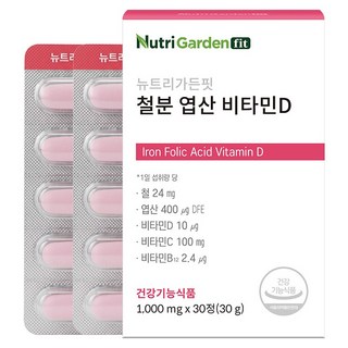뉴트리가든핏 철분 엽산 비타민D 30g, 1개, 30정