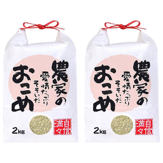 Well Life 悅生活 100%日本直送 谷穗 特A級長野縣肥美濃甜火山越光米, 2kg, 2個, 頂級