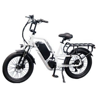 레이윙 캐리 삼성셀 배터리 15Ah 전기자전거 고객직접설치, 펄 화이트, 알루미늄