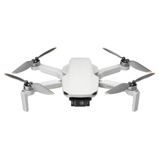 DJI 大疆創新 Mini 4K 空拍機, 灰色, 1個