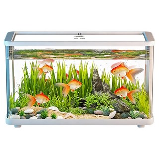 미미네아쿠아 책상 위 작은 힐링 클리어 어항, 흰색, 1개