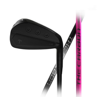 黑Tee 男用 許碩Pro的 The Carbon 鐵桿 T-10 8號 霧面黑, 34度, X