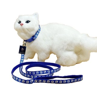 딩동펫 반려동물 발바닥 초경량 목줄 리드줄 세트, 블루, 1세트