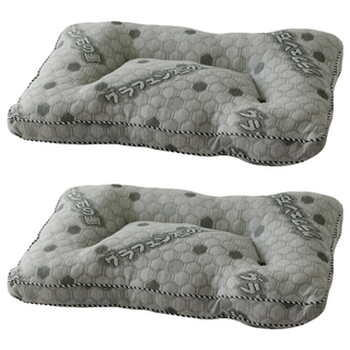 JINDACHI 金大器 天絲石墨烯止鼾枕, 2個, 灰色