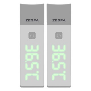제스파 비접촉 겸용 2 in 1 체온계 ZPM200, 2개